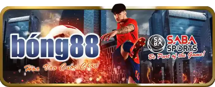 Tránh đặt cược cảm tính